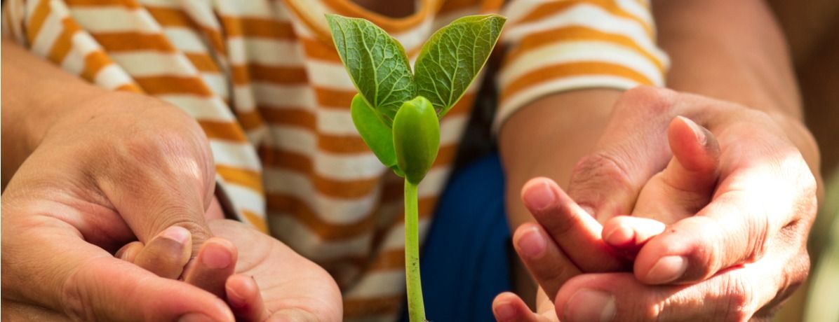 Confira 5 dicas para inovar na agricultura familiar