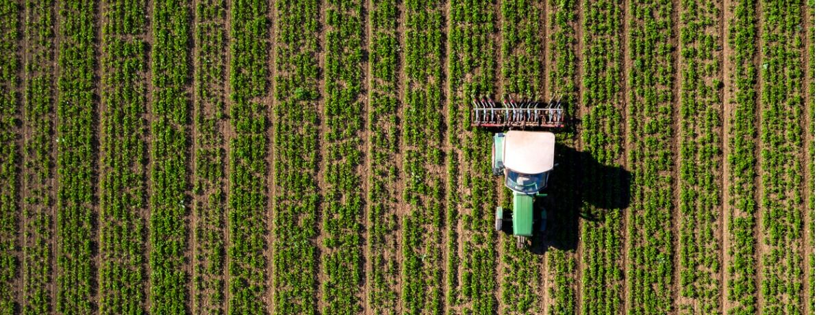 Grade aradora: função, tipos e vantagens para operações agrícolas