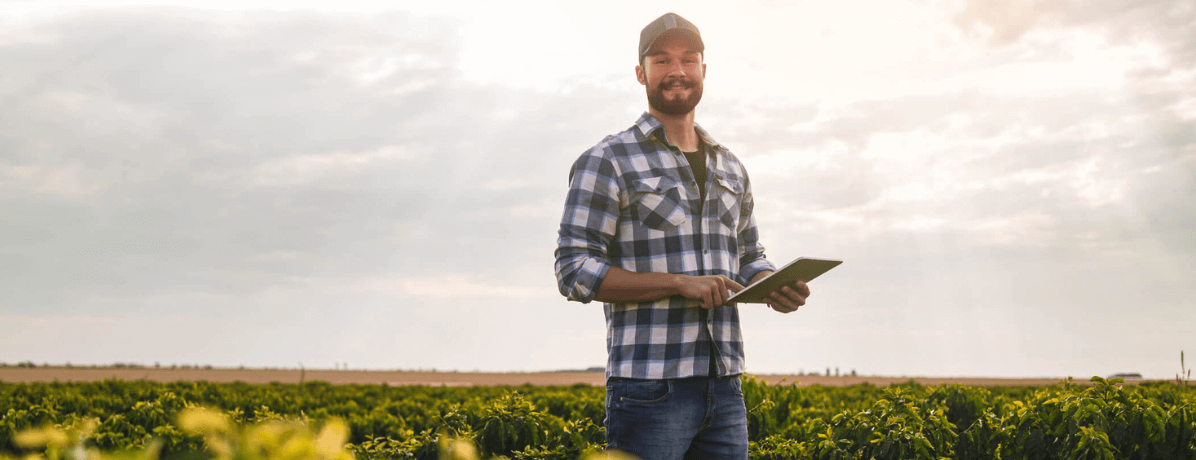 Como dar os primeiros passos na contabilidade rural da sua propriedade