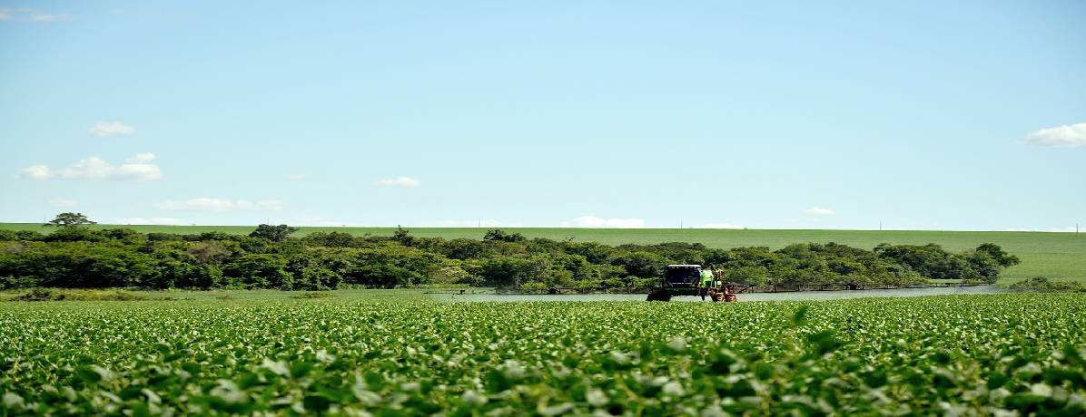 O que é glifosato? Veja vantagens e desvantagens desse herbicida!