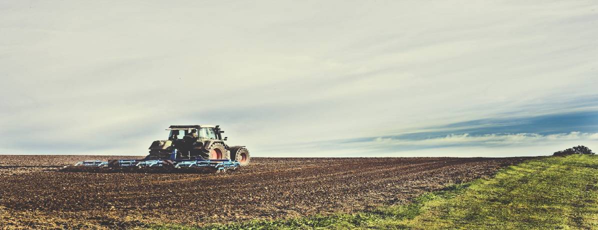 Eventos do agronegócio 2024: tudo o que você precisa saber