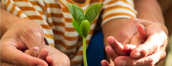 Confira 5 dicas para inovar na agricultura familiar