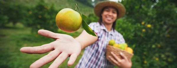 Veja 4 ações para se destacar no mercado de produtos agrícolas