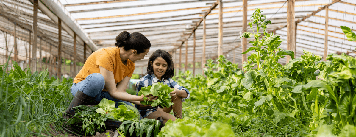 Agricultura de subsistência: quais os desafios para essa cultura?