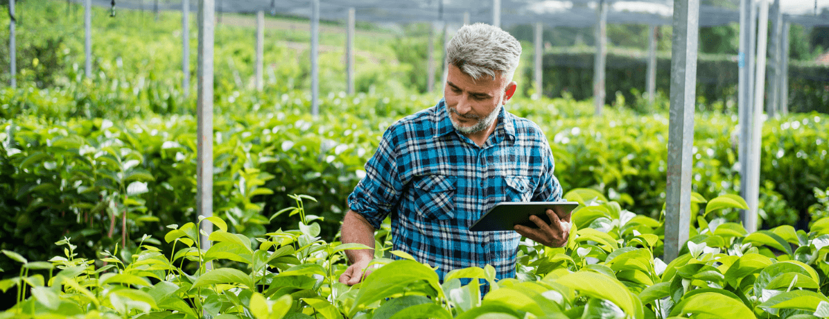 Descubra as vantagens dos insumos agrícolas para o setor