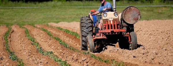 Manutenção de tratores: dicas para preservar suas máquinas agrícolas