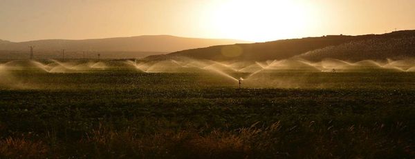 Como economizar água na agricultura? As 9 melhores dicas!