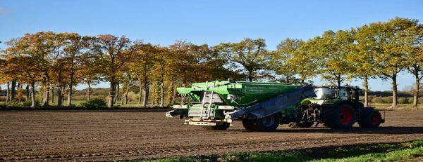 Para que serve o calcário? Veja como elevar a produtividade do plantio